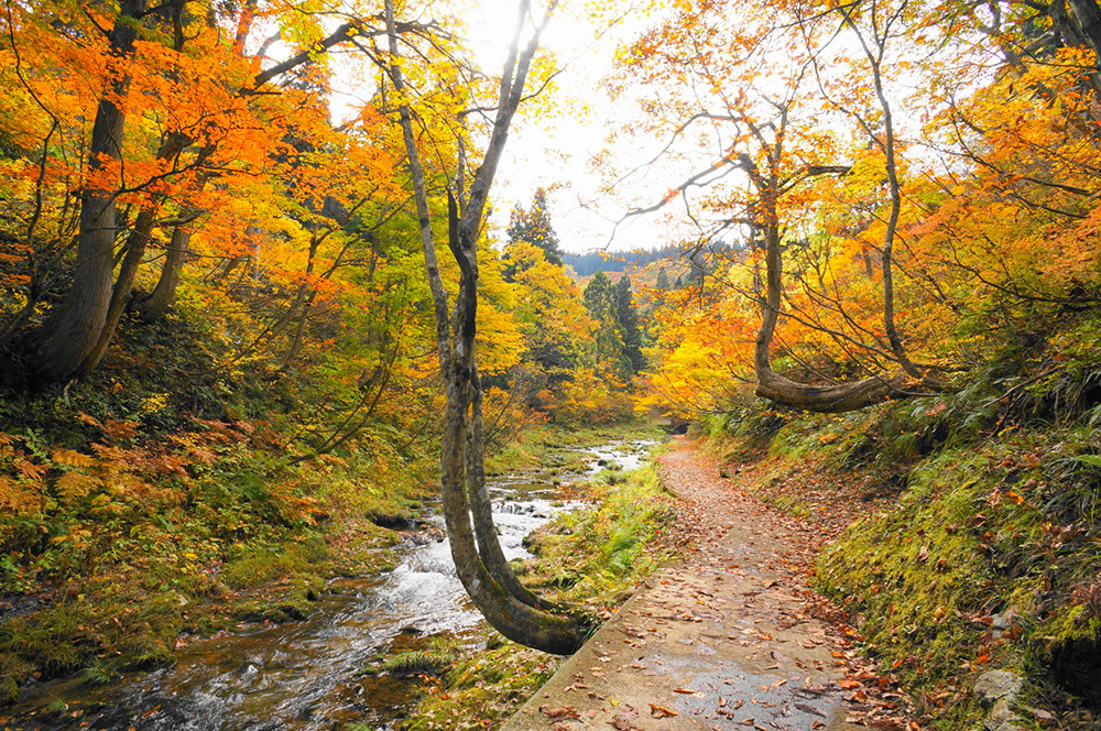 銀山温泉の紅葉は例年10月下旬頃から - 記事の写真 銀山温泉の紅葉は例年10月下旬頃から - 記事の写真