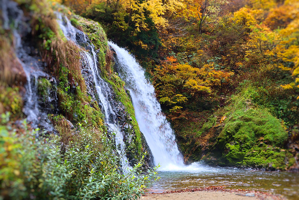 銀山温泉の紅葉は例年10月下旬頃から - 記事の写真 銀山温泉の紅葉は例年10月下旬頃から - 記事の写真