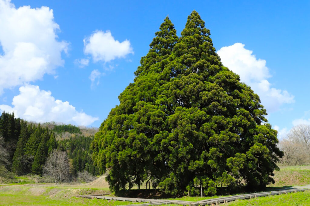 【銀山温泉】夏の見どころ＆ご当地グルメ - 記事の写真